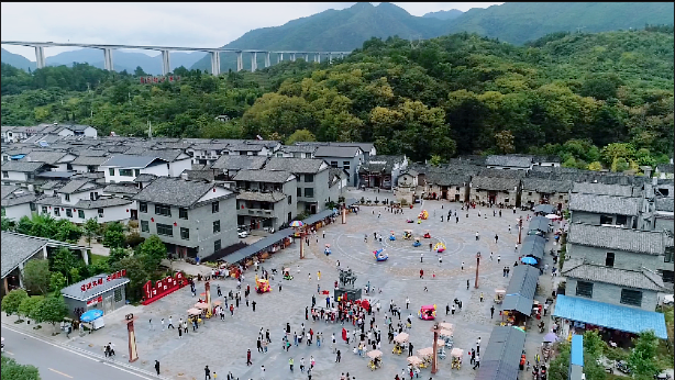 这一年沙洲村党支部副书记陈娟娟一个选调生的自述