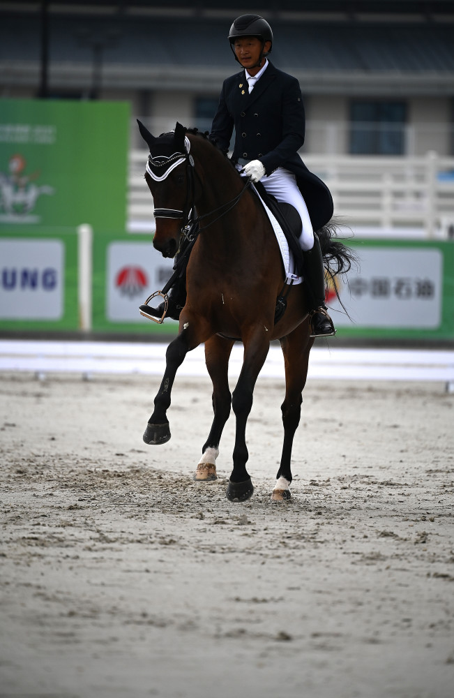 全运会马术盛装舞步团体赛况广东队夺冠2