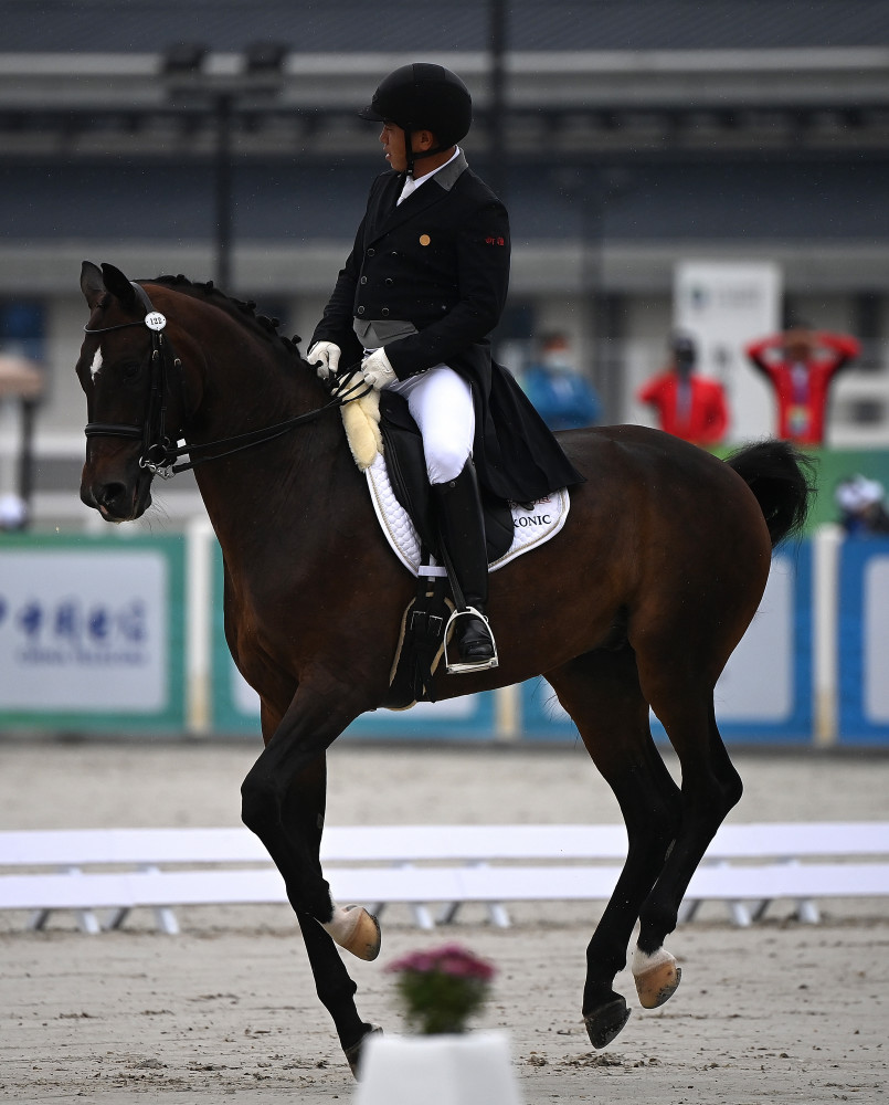 (全运会)马术——盛装舞步团体赛况:广东队夺冠(2)_腾讯新闻