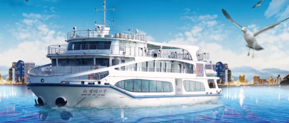 来了来了,他真的来了"红嘴鸥6号"要开夜航了9月19日9月19日9月19日