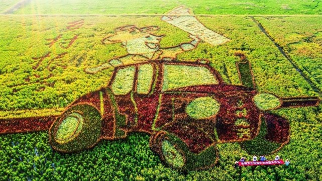 壮美好一幅五彩稻田画城市摄影队