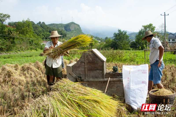 这属于旧时光里的打稻机,让我体会到耕种的不易_腾讯新闻
