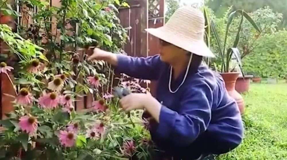 2号站注册下载地址_石家庄鲜花_石家庄鲜花速递_石家庄鲜花店_石家庄鲜花批发_石家庄鲜花网-石家庄四季鲜花-石家庄四季鲜花