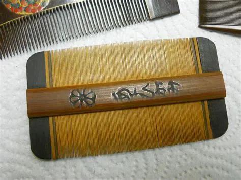 陪伴人类最久的生物,30年前随处可见,为何现如今看不到虱子了?