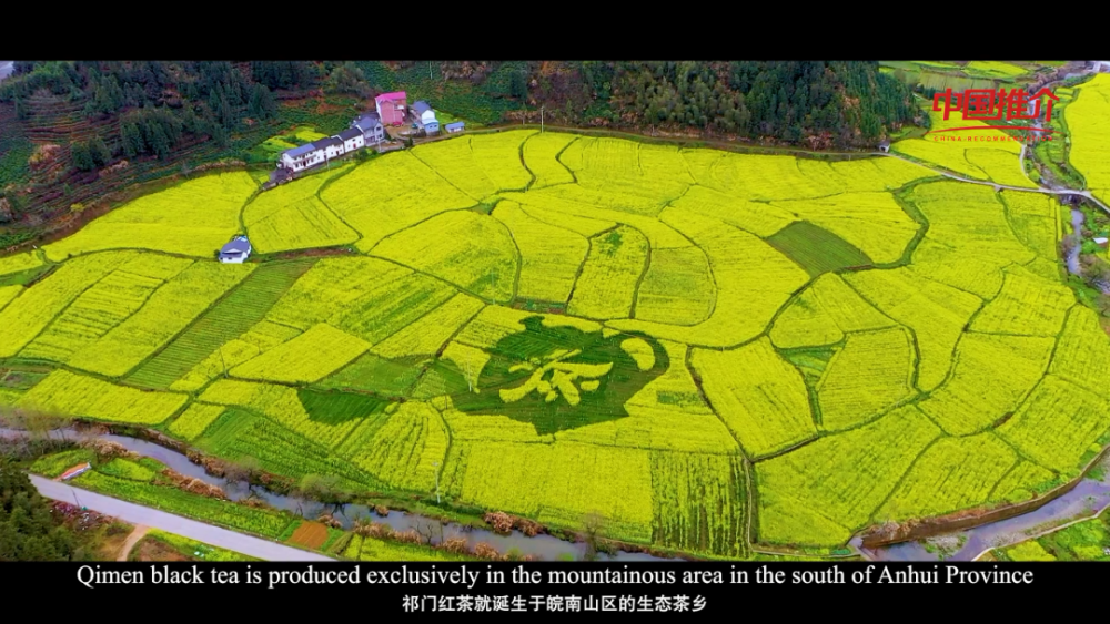 祁门红茶排行_今年6月农夫山泉、祁门红茶、盼盼等多家知名企业被世界聚焦