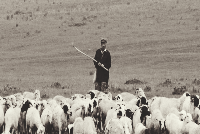 59年分销店失窃 马玉林看脚印识破俩盗贼 你的足迹步法就是证据 腾讯新闻