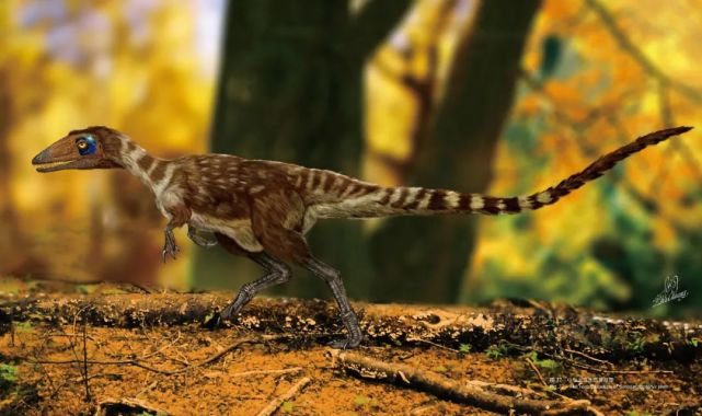 "中华龙鸟"生态复原图