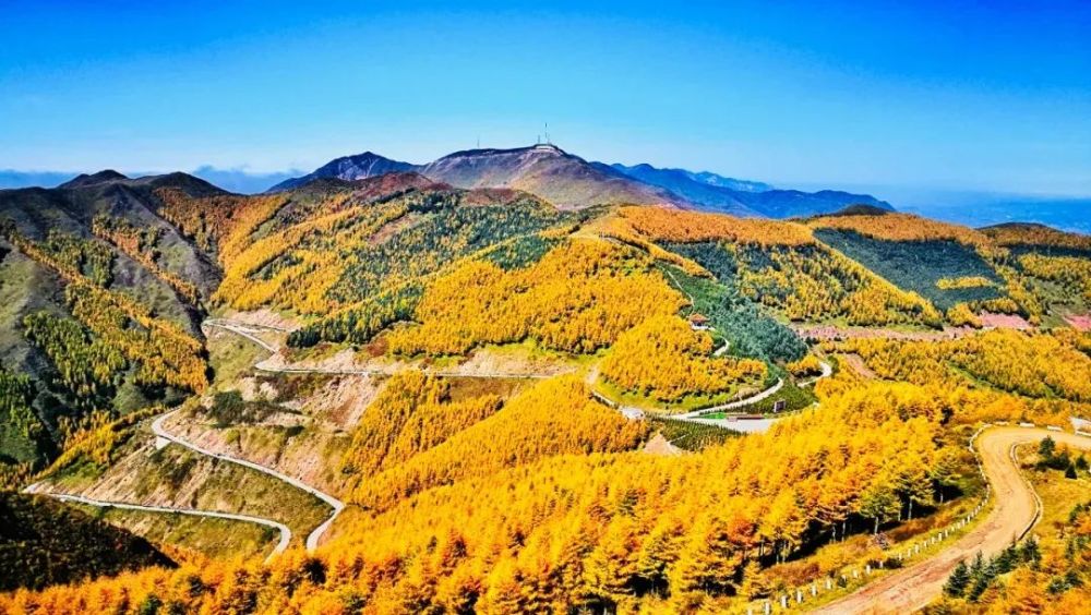 梦幻多彩是六盘"枫红秋黄点亮了六盘山的秋色,给这片天地温情的浪漫