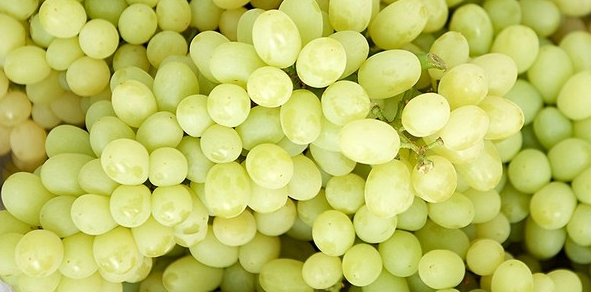 孕妇可以吃奶提子吗_腾讯新闻