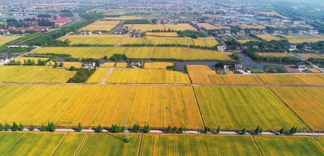江苏县gdp_2020年上半年江苏省各地区GDP排行