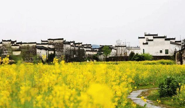 上饶市总人口_2019年江西各市常住人口排行榜:南昌人口增量最大(2)