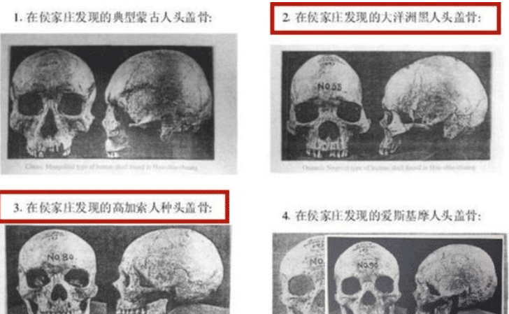 差点和古印度一样殷墟出土的白人头骨揭开中华历史上危急一幕