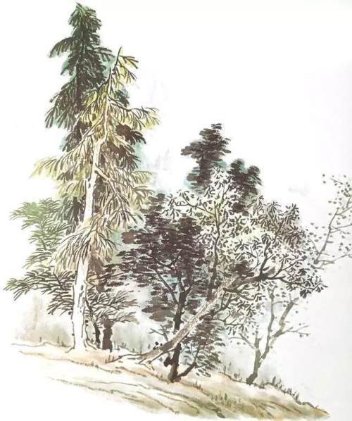 图文教程一篇文章全面了解山水画树技法