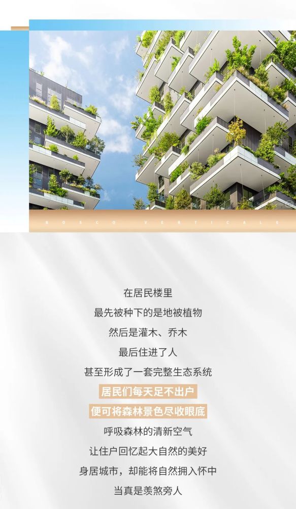 你见过竖着长的森林么?