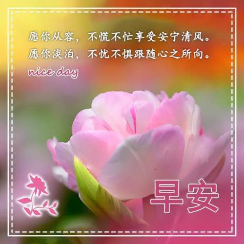 分享朋友圈新版早安图片带字最美的早安祝福问候暖心语录