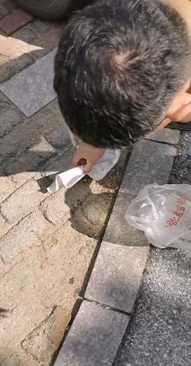 吃了"断肠散"?青岛左岸风度小区十几只宠物犬疑遭投毒死亡 警方已介入