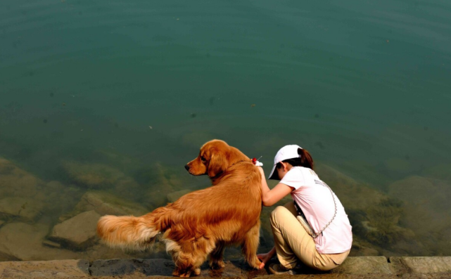 泸县地震时,老婆与狗两种表现,网友:终于知道啥叫患难见真情了