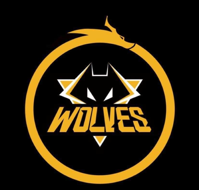 tes品牌再次升级,更名为tes.armor,队标撞脸hero和狼队