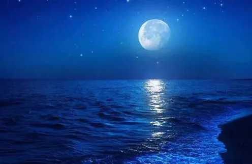 中秋团圆饭丨中秋谁家月儿圆