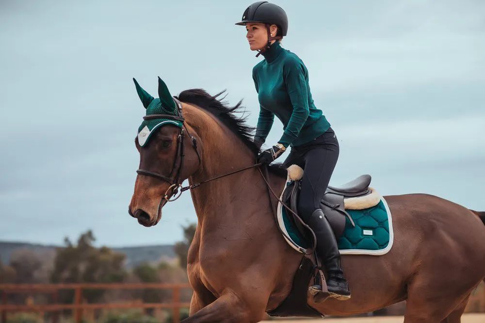 马术骑乘的几个练习,帮你找到马鞍中的感觉