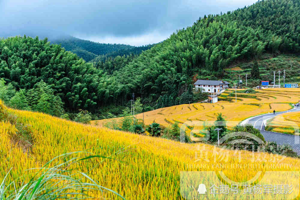 江西生态最美的山区县,客家梯田面积达4万多亩,景色如画很宜居