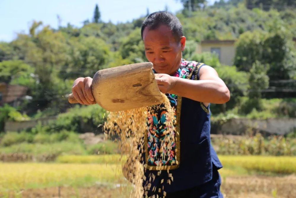 第四个中国农民丰收节册亨布依群众庆丰收