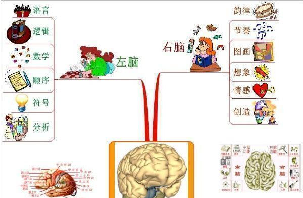 为什么右脑发达的孩子更容易成为学霸?右脑储存量是左脑100万倍