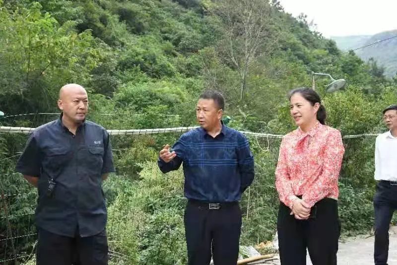 副县长周登印杨丽娟到大山乡蚂蚁河开展巡河工作