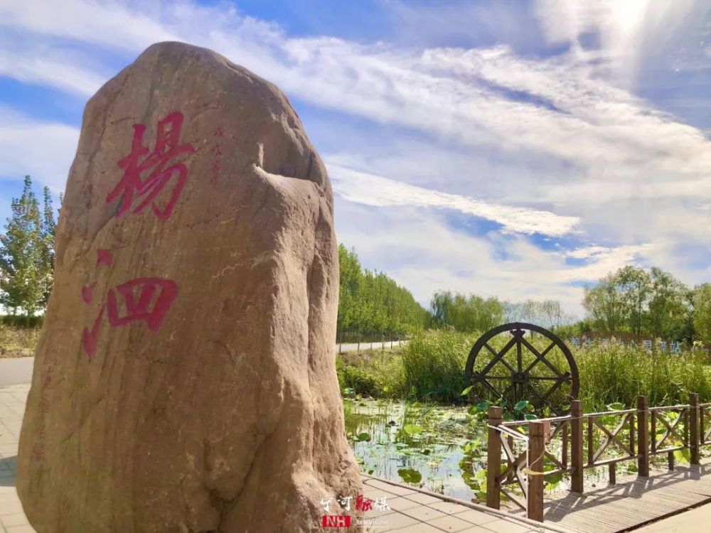 鸟语花香蓝天白云今天宁河太美了