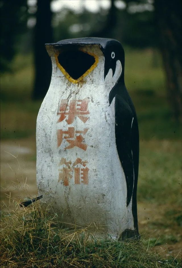 沈阳80年代的记忆