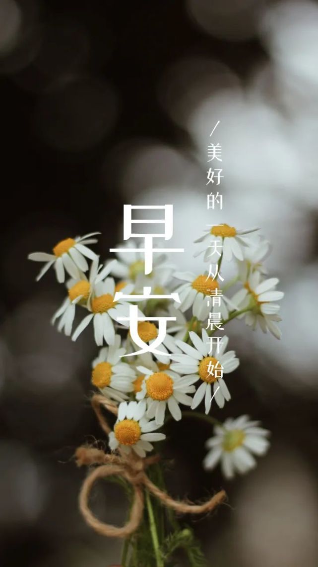 早安语录图片励志正能量