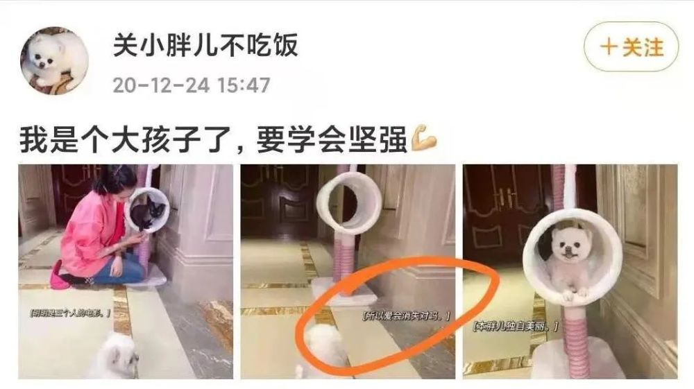 曾经不被看好的一对儿如今怎么样了？