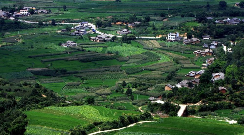 德昌县城以西7公里这里还藏着一个绝美的"天府旅游名村""中国天然氧吧