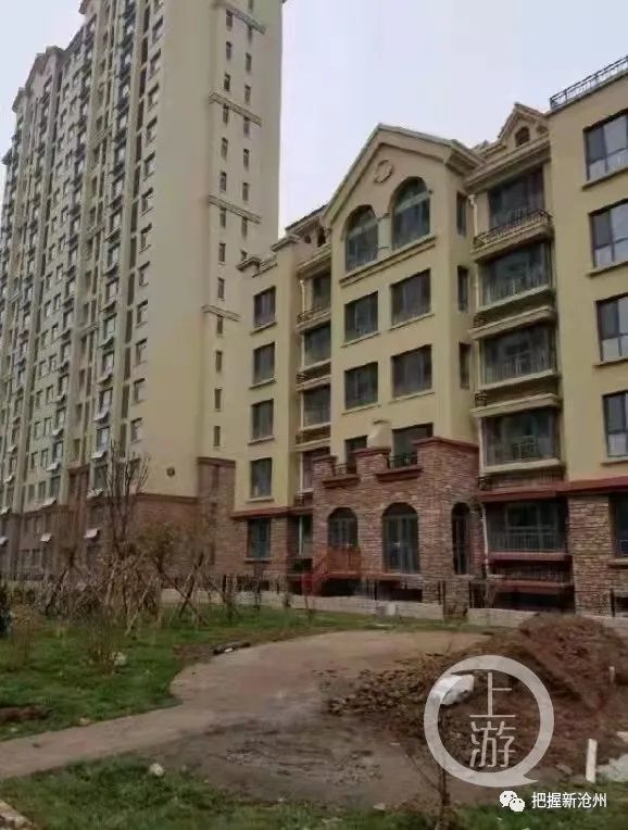 肃宁周边沧州大案涉案金额超3亿元