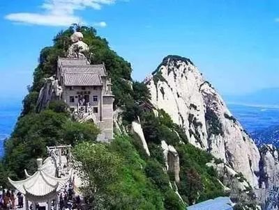 奇秀排行榜_奇秀第5年:从爱奇艺出发,更新直播政策,做多元内容