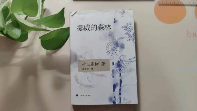 《挪威的森林》经典语录(二)|挪威的森林|永泽