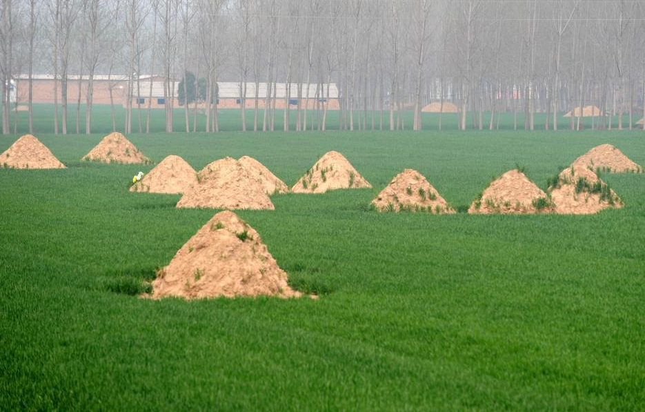 耕地坟头一律清除12亿亩耕地集中连片农民葬在哪