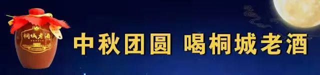 桐城市有多少人口_安徽桐城:大沙河河堤溃口8万人转移