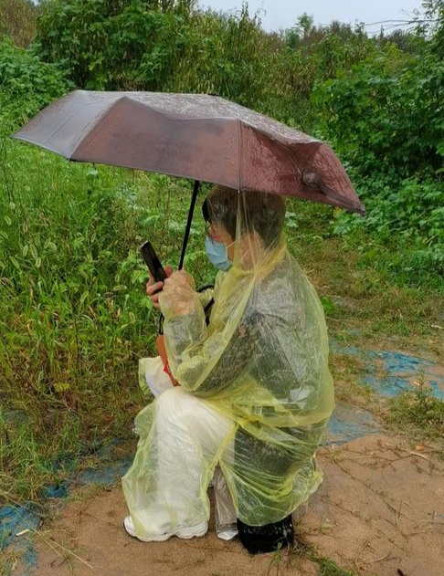 "错换人生28年"的围观者:上百人冒雨庭外应援许敏 十几个网红主播来回