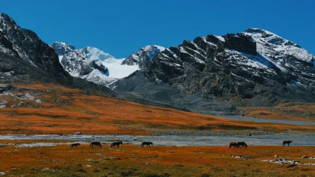 影像博州鄂托克赛尔河谷百里画廊接天境