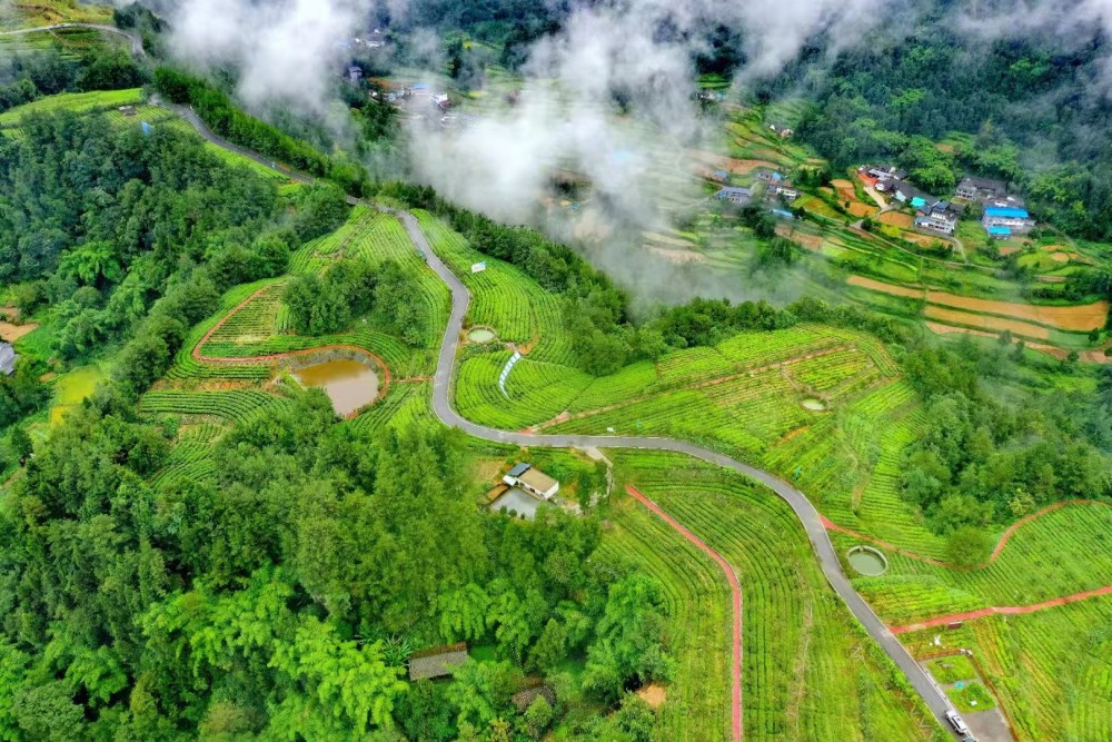航拍旺苍美丽乡镇云雾笼罩像是披上了一层轻纱似仙女下凡
