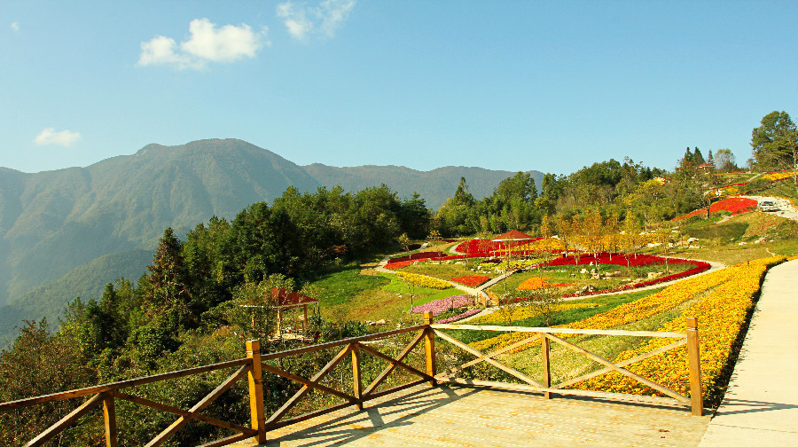 九重山国家森林公园美景