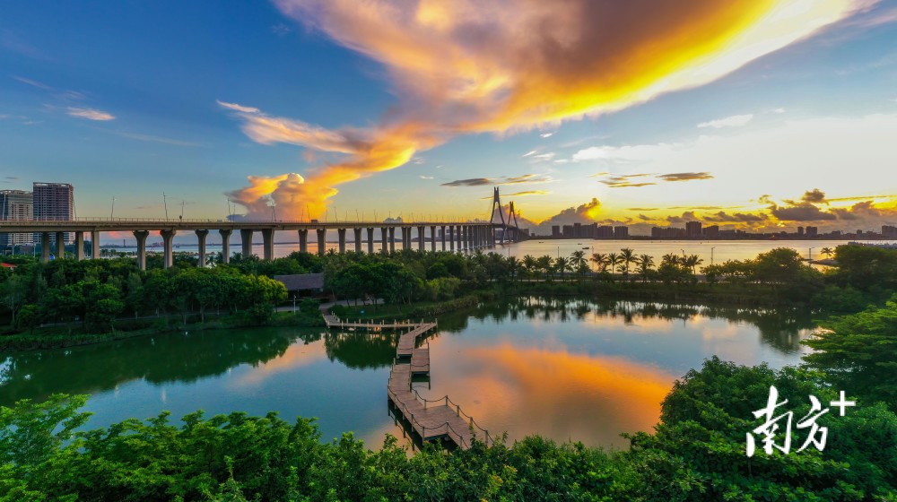 你怎么这么好看镶在雷州半岛上的绿翡翠