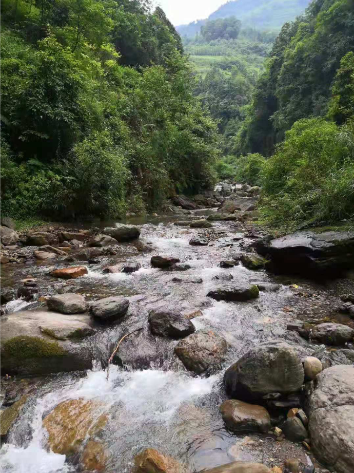 永善1河流1水库上榜!2021年昭通市级"美丽河湖"公示!_腾讯新闻