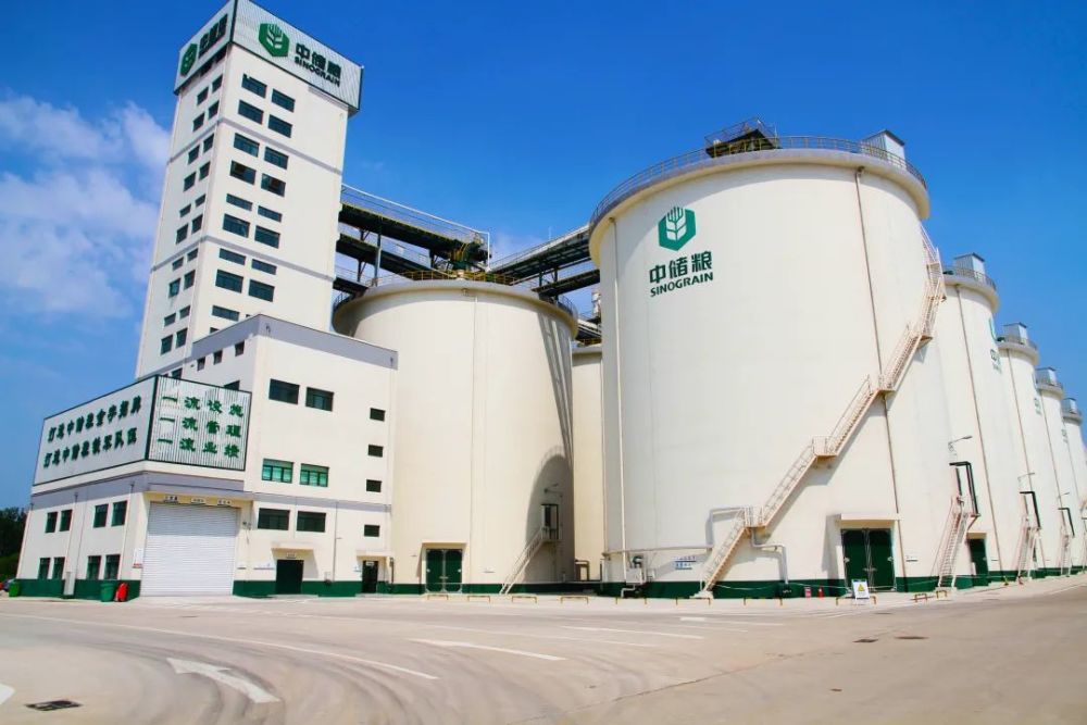 中储粮2021年改革成绩单|改革实现"三个超出预期"_腾讯新闻