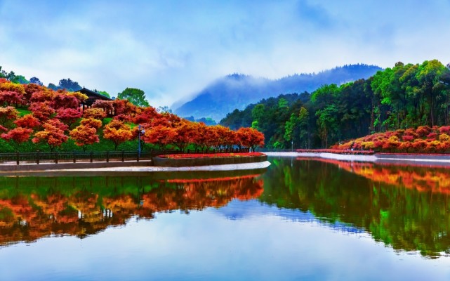 双节"来临,巴南区1800亩主城最大"红枫"圣地等你来浪漫打卡
