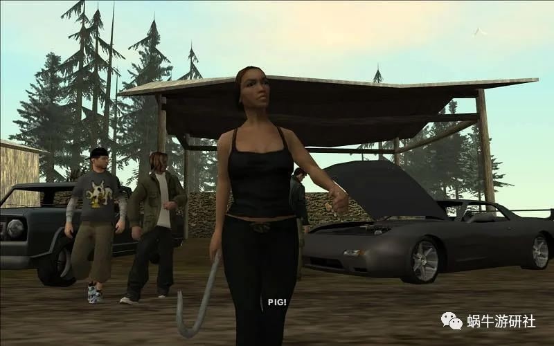 卡特琳娜通常在游戏中侮辱 cj(图片来自 rockstar games)黄蜂的毒性都