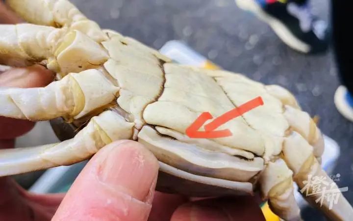 上门做客买点啥当伴手礼?