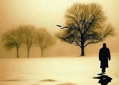 把世界看透的人最温柔也最冷漠