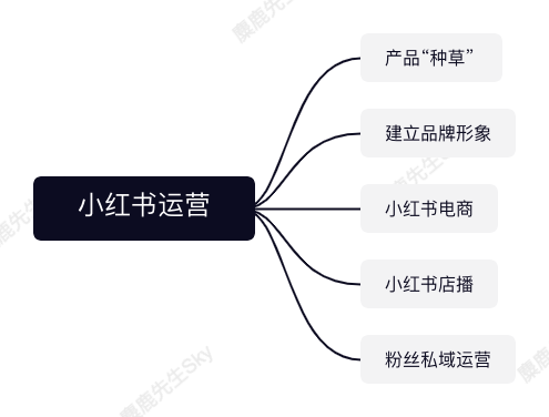 小紅書運營團隊組織架構設計方案